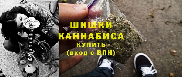 дживик Пестово